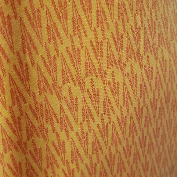 Lularoe Maxi Skirt or Dress - Picture 3 of 3